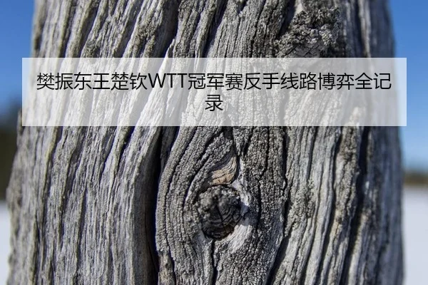 fan-zhen-dong-wang-chu-qin-guan-jun-sai-fan-shou-xian-lu-bo-yi-quan-ji-lu-3-147.jpg
