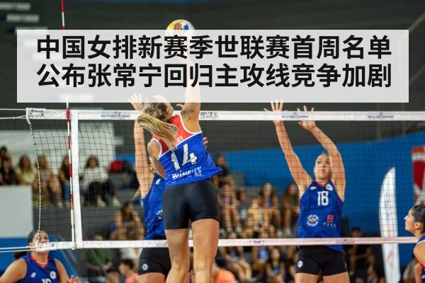 volleyball match action