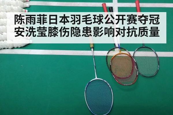 陈雨菲日本羽毛球公开赛夺冠 安洗莹膝伤隐患影响对抗质量